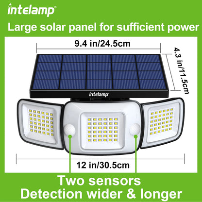 Intelamp Solar Smart and Sustainable Outdoor Lighting